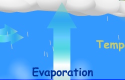 Evaporasyon
