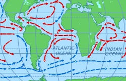 Okyanus Akıntıları